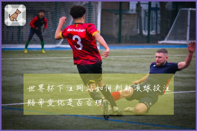 世界杯下注网站如何判断滚球投注赔率变化是否合理