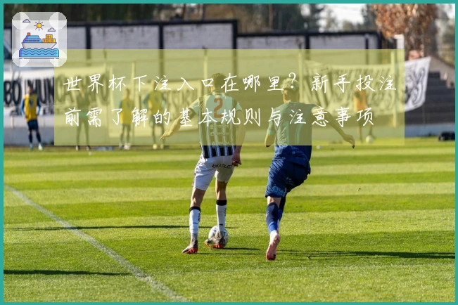 世界杯下注入口在哪里？新手投注前需了解的基本规则与注意事项
