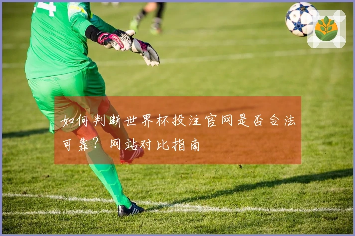 如何判断世界杯投注官网是否合法可靠？网站对比指南