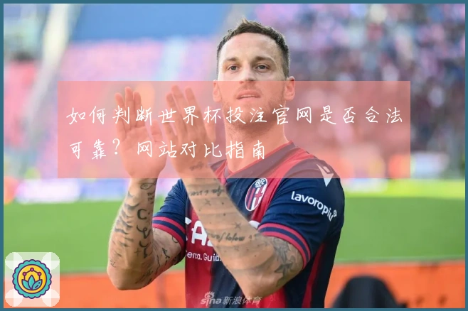 如何判断世界杯投注官网是否合法可靠？网站对比指南