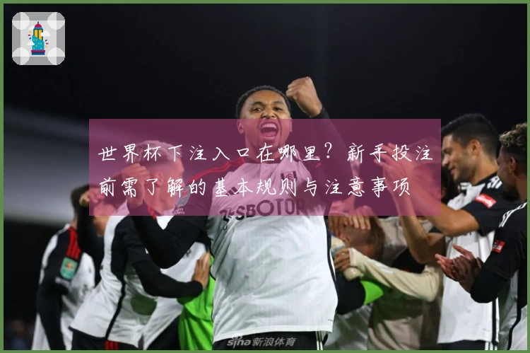 世界杯下注入口在哪里？新手投注前需了解的基本规则与注意事项
