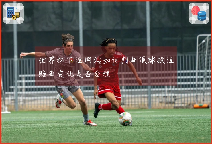 世界杯下注网站如何判断滚球投注赔率变化是否合理